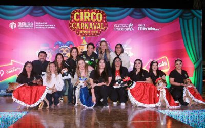 Cerrarán Reyes Caninos su reinado con esterilización masiva