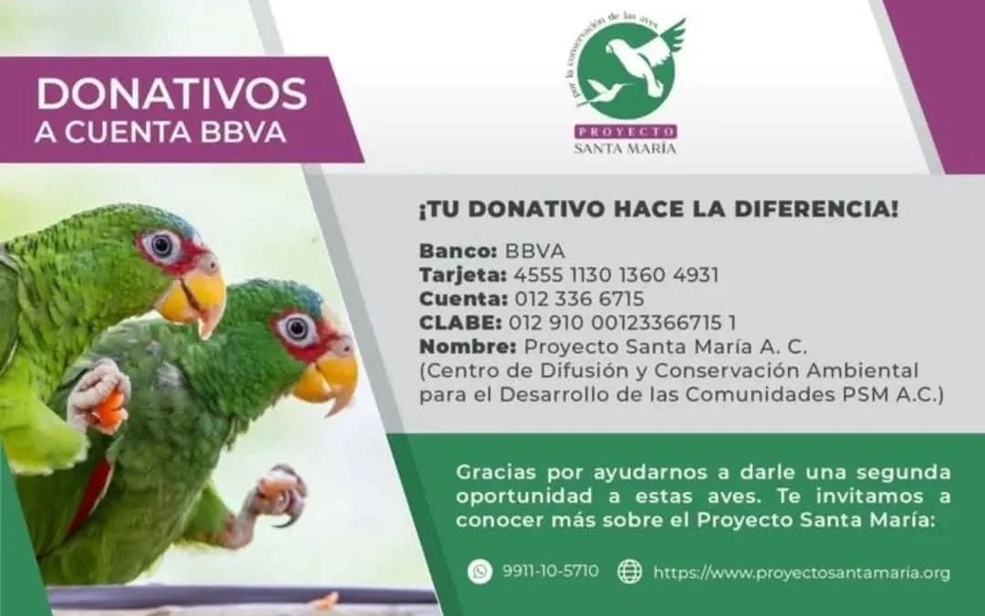 Hay un ave invasora en Yucatán que alerta a especialistas