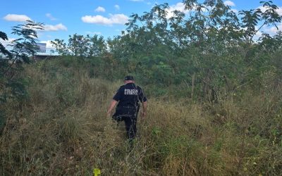 Se suicida joven en un rancho de Tizimín, donde trabajaba