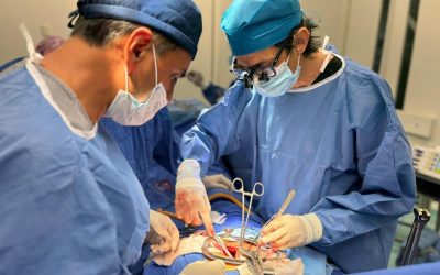 Impulsa Yucatán cultura de donación en el Día Mundial del Trasplante de Órganos y Tejidos