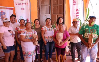 Impulsan producción apícola y restauración ambiental, en Tekantó
