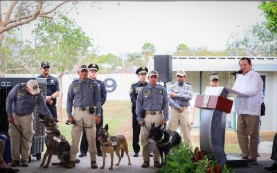 Yucatán integra nuevos binomios caninos para detección de explosivos