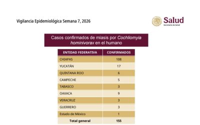 Ocupa Yucatán segundo lugar nacional en casos de gusano barrenador en humanos