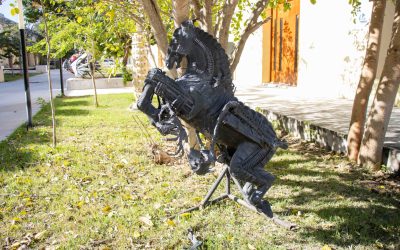 UNAY recibe donación de 380 obras de la Fundación Cultural Macay